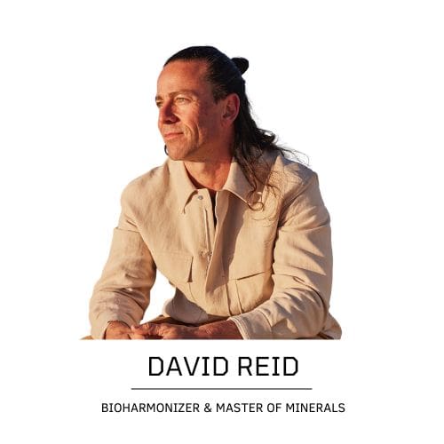 David Reid