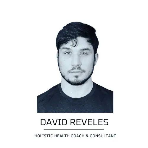 David Reveles